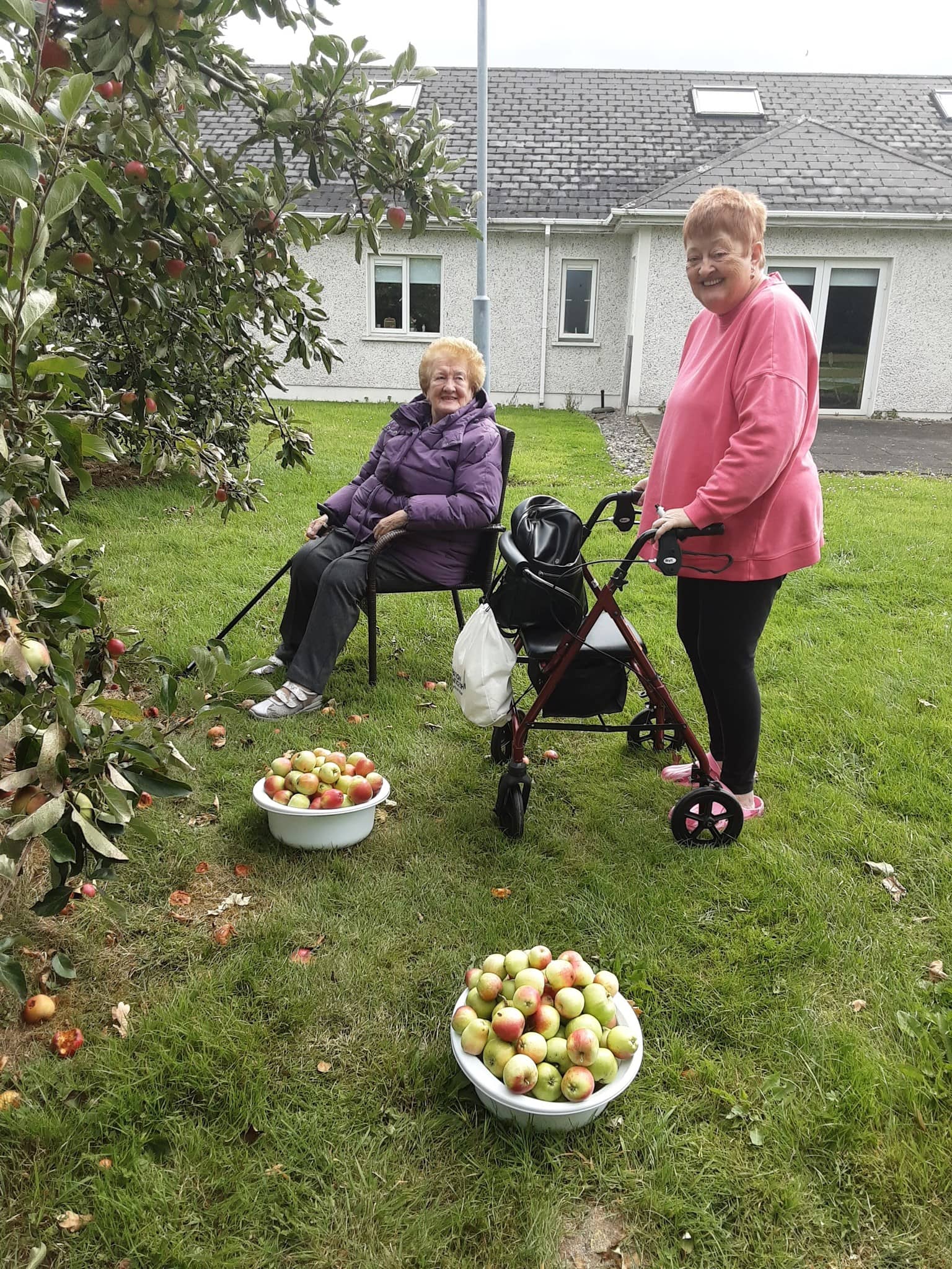 Residents picking fruit in the garden at Rathkeevan Nursing Home